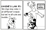 Canine's Laws