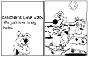 Kitty's Laws